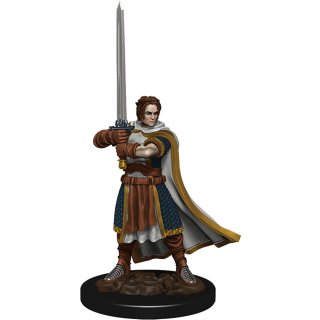 D&D Icons of the Realms: Premium Figures W4 Human Cleric Male (EN)
