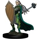 D&D Icons of the Realms: Premium Figures W4 Elf...