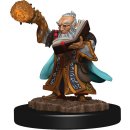 D&D Icons of the Realms: Premium Figures W5 Gnome...