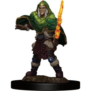 D&D Icons of the Realms: Premium Figures W5 Elf Fighter Male (EN)