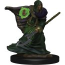 D&D Icons of the Realms: Premium Figures W5 Elf Druid...