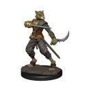 D&D Icons of the Realms: Premium Figures W6 Tabaxi...