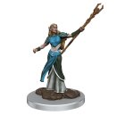 D&D Icons of the Realms: Premium Figures W7 Female...