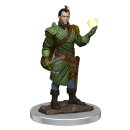 D&D Icons of the Realms: Premium Figures W7 Male...