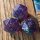 Portent Dice (3)