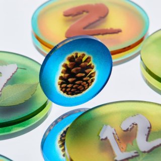 Token and Markers: Photosynthesis Token Set