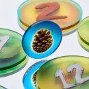 Token and Markers: Photosynthesis Token Set