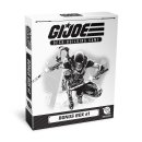 G.I. JOE Deck-Building Game: Bonus Box #1 (EN)