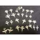 Hornet Leader: Miniatures (EN)