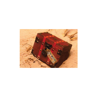 The Mystery Agency: The Balthazar Stone (EN)