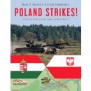 Platoon Commander: Poland Strikes (EN)