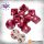 Carnevale: Patricians - Dice