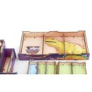 Insert: Dinosaur World + expansions UV Print