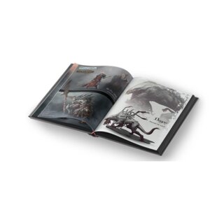 Black Rose Wars: Artbook (EN)