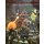 Castles and Crusades RPG: I4 Graffenfold Adventures (EN)