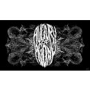 Mörk Borg RPG: Augury of Agony (EN)
