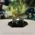 BattleTech: Inner Sphere Battle Armor Platoon (EN)