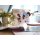 Fight with Spirit RPG (EN)