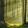Black Forest (EN)