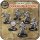 Shadows of Brimstone: Draugar Undead Vikings (EN)