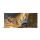 Outgunned RPG Adventure: Screen (EN)