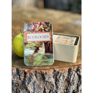 Ecologies: Tin Travel Box