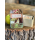 Ecologies: Tin Travel Box
