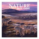 Nature: Arctic Tundra Module (EN)