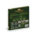 CluePuzzle - Sonnenpyramide: Set 1 - Aztekenreich (EN)