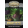 Savage Worlds: RIFTS - Arcana and Mysticism (EN)