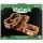 WarLock Tiles: Expansion Pack 1 in Town & Village Angles & Curves