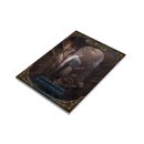 DSA5 - Aventurische Bibliothek - Taschenbuch (DE)