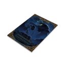 DSA5 - Aventurisches Pandämonium - Taschenbuch (DE)