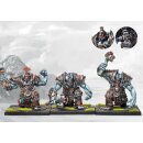 Conquest: Wadrhun - Chosen of War (EN)