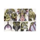 Conquest: Spires - Pteraphon (EN)