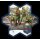 HeroScape: G.I. JOE - Greenshirts and Battle Copter Army Expansion (EN)