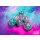 Chessex Nebula Wisteria/white Luminary 7-Die Set