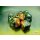 Chessex RPG Dice Sets Gold-Green/White Gemini Polyhedral 7-Die Set
