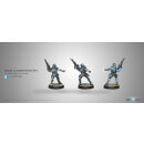 Infinity: Locust, Clandestine Action Team (Hacker)