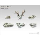 Animals Skulls Set (6)