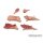 Butchery - Set 1 (6)