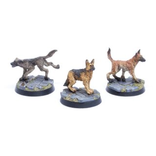 Dogs Set 1 - Sheepdogs (3)