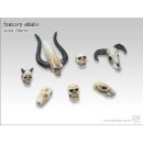 Fantasy Skulls (7)