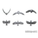 Flying Ravens (6)