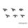 Sitting Ravens (6)