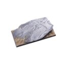 Special Monster Bases 50x100mm 1