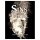 Sins of the Father (EN)
