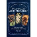 The Game Masters Deck of Wild Magic and Mischief (EN)
