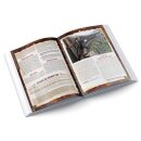 Deadlands: The Weird West - Durch die Hölle des Hochlands (DE)