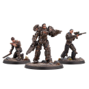 Fallout - Wasteland Warfare: Raiders Big Fish (EN)